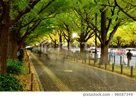 Meiji Jingu Gaien Ginkgo tree lined autumn leaves 96087349