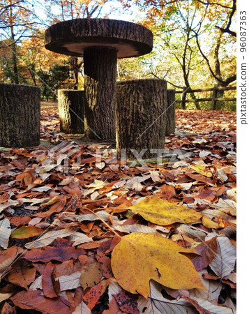 Winter Park/Kakuremino of Yellow Leaves 96087363
