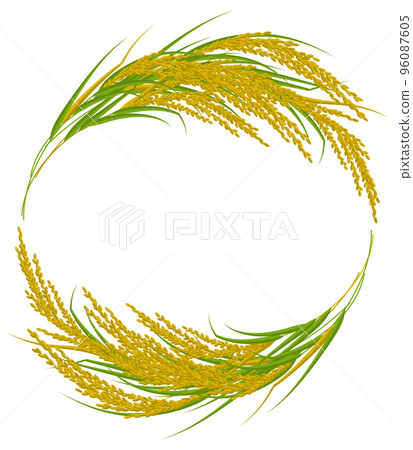 Golden rice ear top and bottom emblem vector illustration 96087605