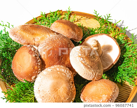 Raw shrimp of raw wood growing 96087741