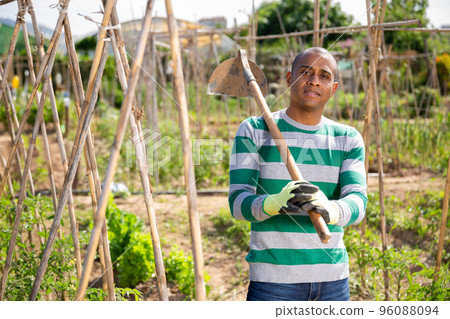 Pakistani man gardener working at land with garden mattock Pakistani man gardener working at land with garden mattock 96088094