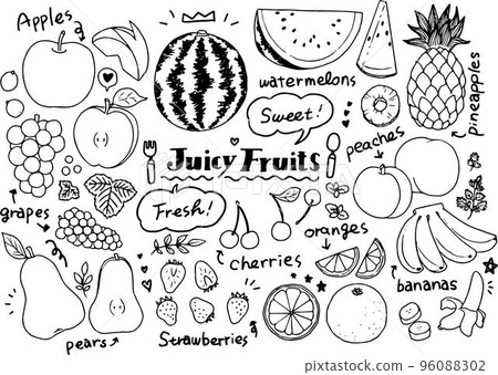 Various fruits Hand-drawn line drawing illustration material 96088302