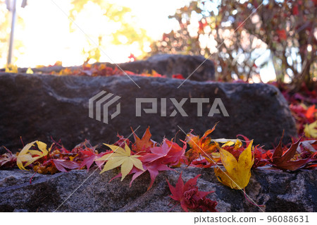 fallen leaves on the stairs fallen leaves on the stairs 96088631