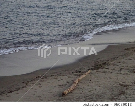 Driftwood and sea Driftwood and sea 96089018