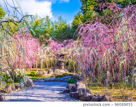 城南區的巴迪梅 96089055