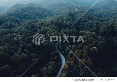 road and forest at dusk 96089677