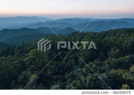 road and forest at dusk 96089678