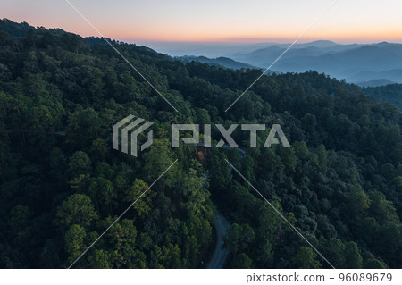 road and forest at dusk 96089679