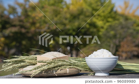 白米和稻穗 | 日本大米的形象 白米和稻穗 | 日本大米的形象 96089980