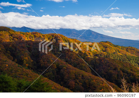 Autumn leaves of the Venus Line Autumn leaves of the Venus Line 96090197