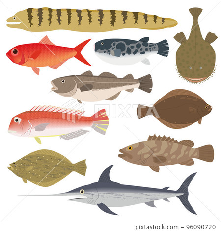 魚圖 魚圖 96090720