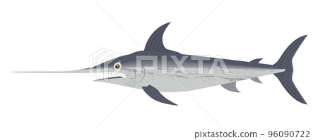 swordfish illustration 96090722