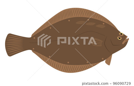 比目魚的插圖 96090729