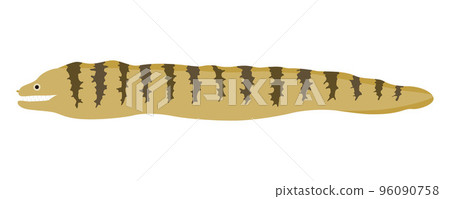 Illustration of Utsubo Illustration of Utsubo 96090758