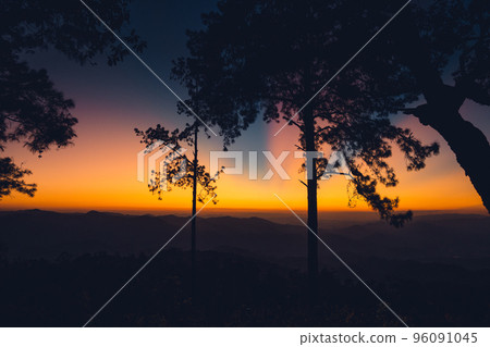Twilight Sunset ,after sunset in the sky in the forest Twilight Sunset ,after sunset in the sky in the forest 96091045