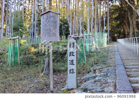 京都賴政道遺跡 96091998