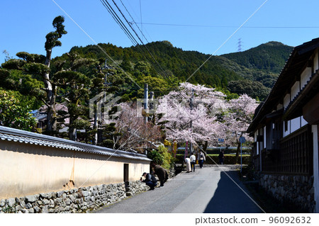 櫻花盛開、綠意盎然的築前小京都“秋月”街景 96092632