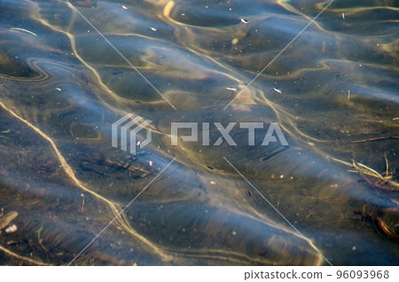 The swaying water surface of Chigo Pond The swaying water surface of Chigo Pond 96093968