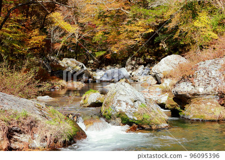 Ehime Prefecture Uchiko Town Odamiyama Autumn 96095396