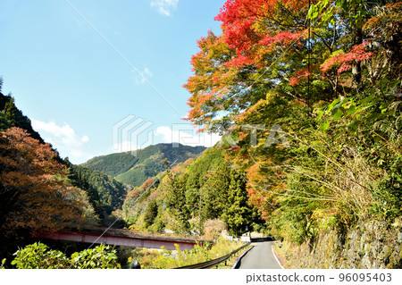 玉川峽谷（市平橋/黑川道）【和歌山縣久道山町】 96095403