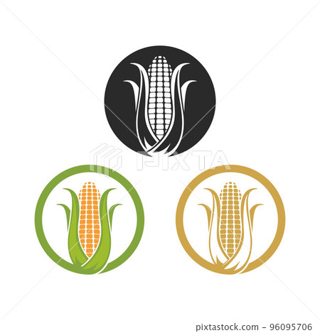 Corn logo illustration vector Corn logo illustration vector 96095706