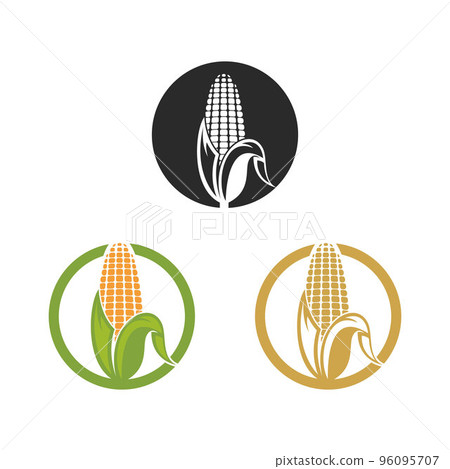 Corn logo illustration vector Corn logo illustration vector 96095707