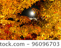 full moon between autumn leaves 96096703