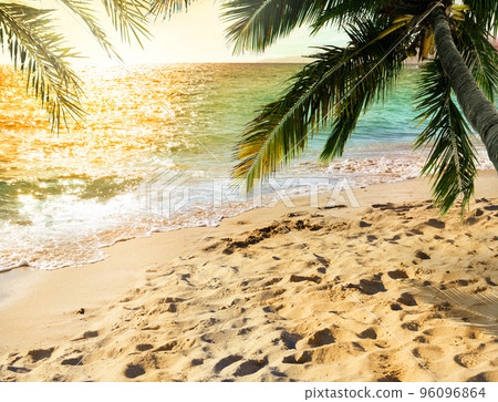 Tropical beach with coconut tree on sunset 96096864