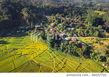 evening rice fields in the countryside evening rice fields in the countryside 96097708