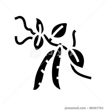 peas plant leaf glyph icon vector illustration 96097763