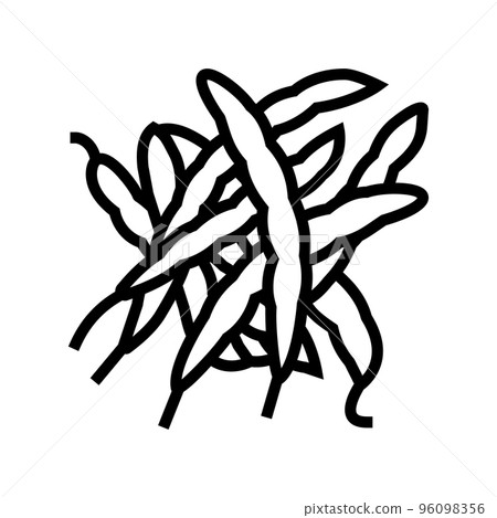 green bean natural line icon vector illustration 96098356