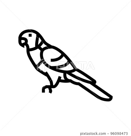rainbow lorikeet bird exotic line icon vector illustration 96098473