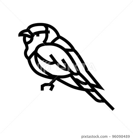lilac breasted roller bird exotic line icon vector illustration 96098489