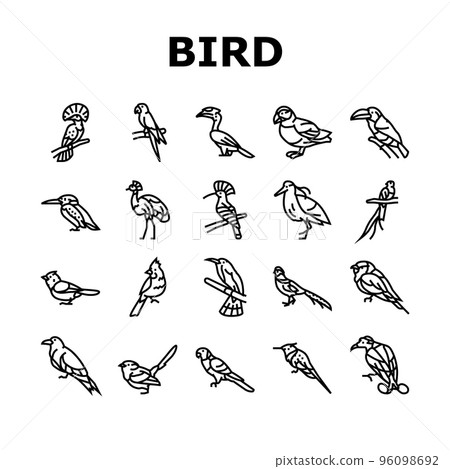 bird exotic animal nature wild icons set vector 96098692