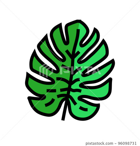 monstera tropical leaf color icon vector illustration 96098731