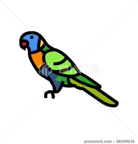 rainbow lorikeet bird exotic color icon vector illustration 96099036