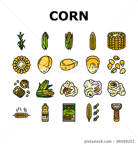 corn maize green, cob sweet icons set vector corn maize green, cob sweet icons set vector 96099201