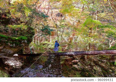 愛媛縣內子町小田山秋丸橋橋 96099431