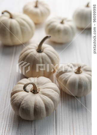 White decorative pumpkins 96099998