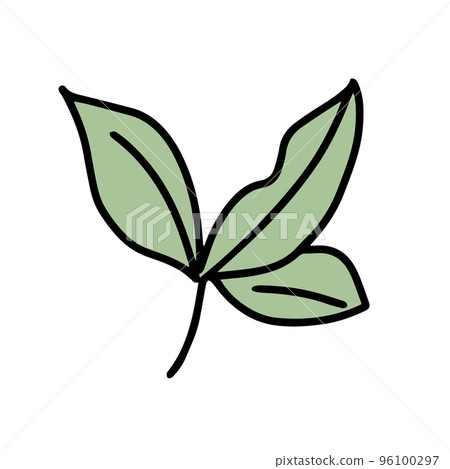Tea leaf isolated on white. Doodle vector illustration Tea leaf isolated on white. Doodle vector illustration 96100297