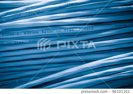 detail of large number of ethernet cables tied together connecting racks inside server room 96101161