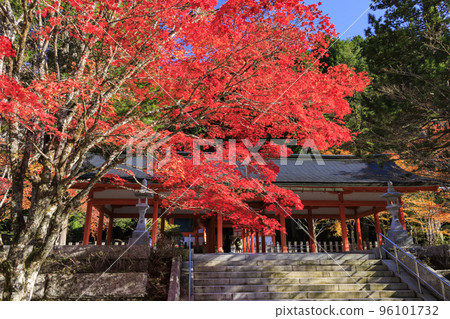 Koyasan in full bloom of autumn leaves 96101732