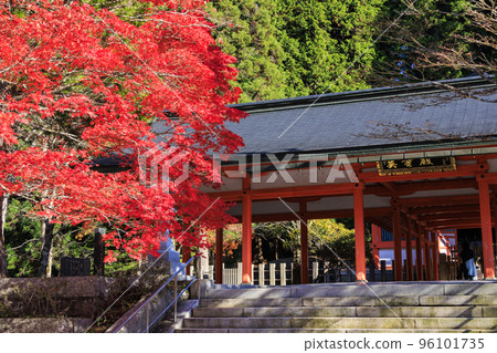 紅葉盛開的高野山 96101735
