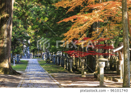 Koyasan in full bloom of autumn leaves 96101740