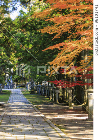 Koyasan in full bloom of autumn leaves Koyasan in full bloom of autumn leaves 96101741