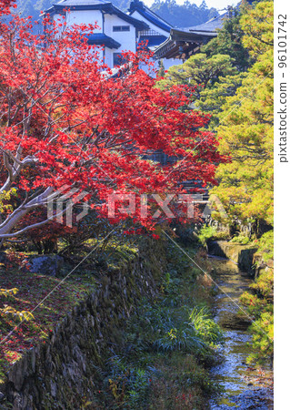 Koyasan in full bloom of autumn leaves Koyasan in full bloom of autumn leaves 96101742