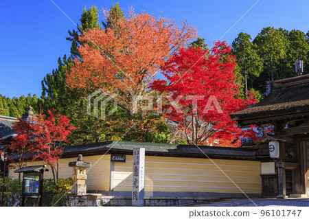 紅葉盛開的高野山 96101747