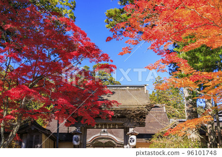 Koyasan in full bloom of autumn leaves 96101748