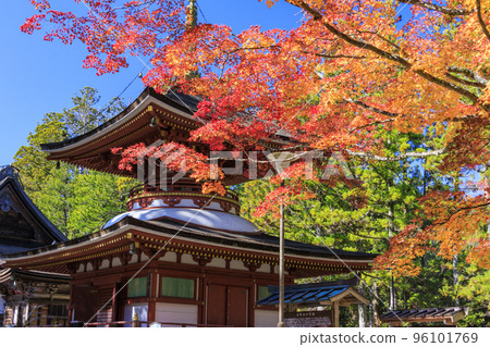 紅葉盛開的高野山 紅葉盛開的高野山 96101769