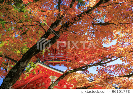 紅葉盛開的高野山 96101778